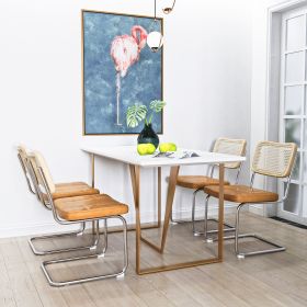 Set of 4, Leather Dining Chair