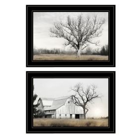 Trendy Decor 4U "Ohio Fields I" Framed Wall Art,